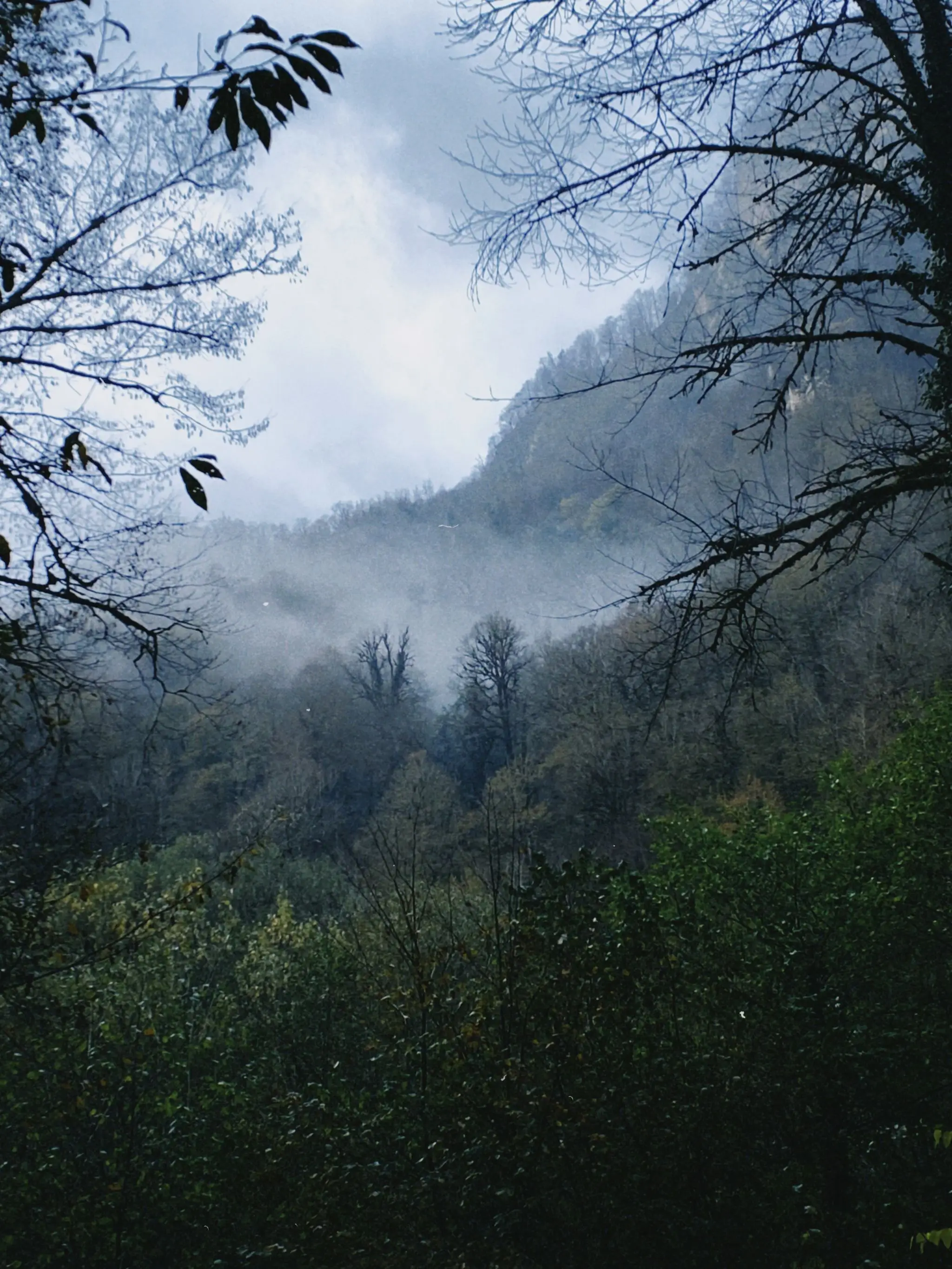 Утро в горах