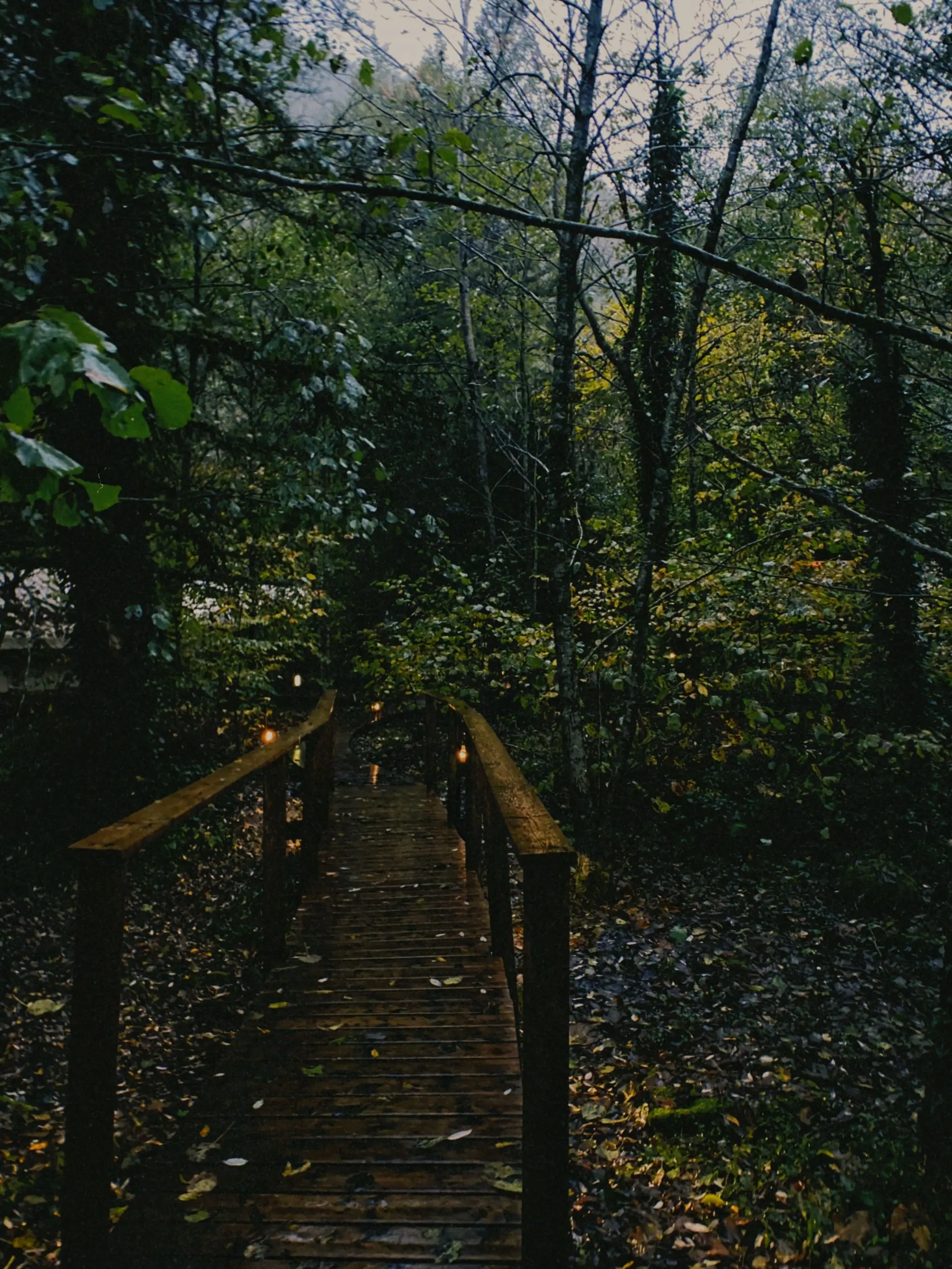 Дорожка в глэмпинге