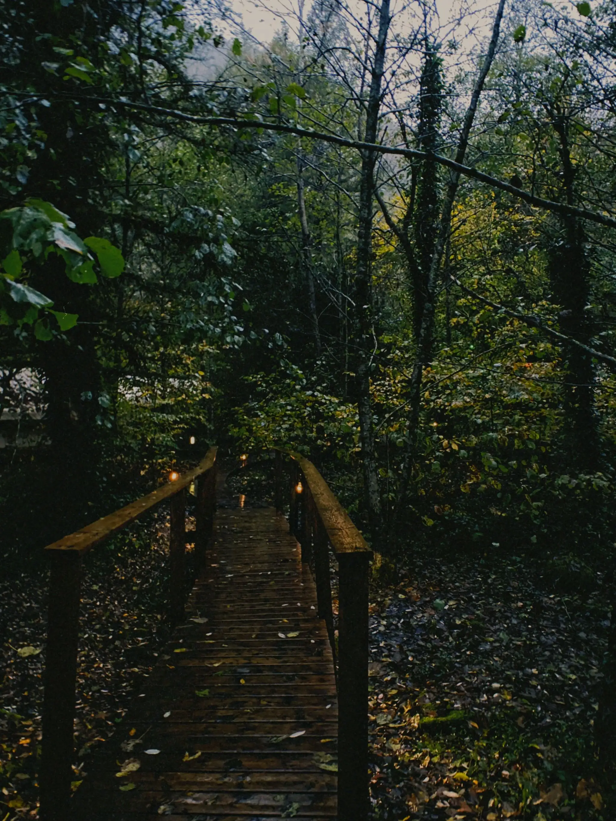 Дорожка в глэмпинге